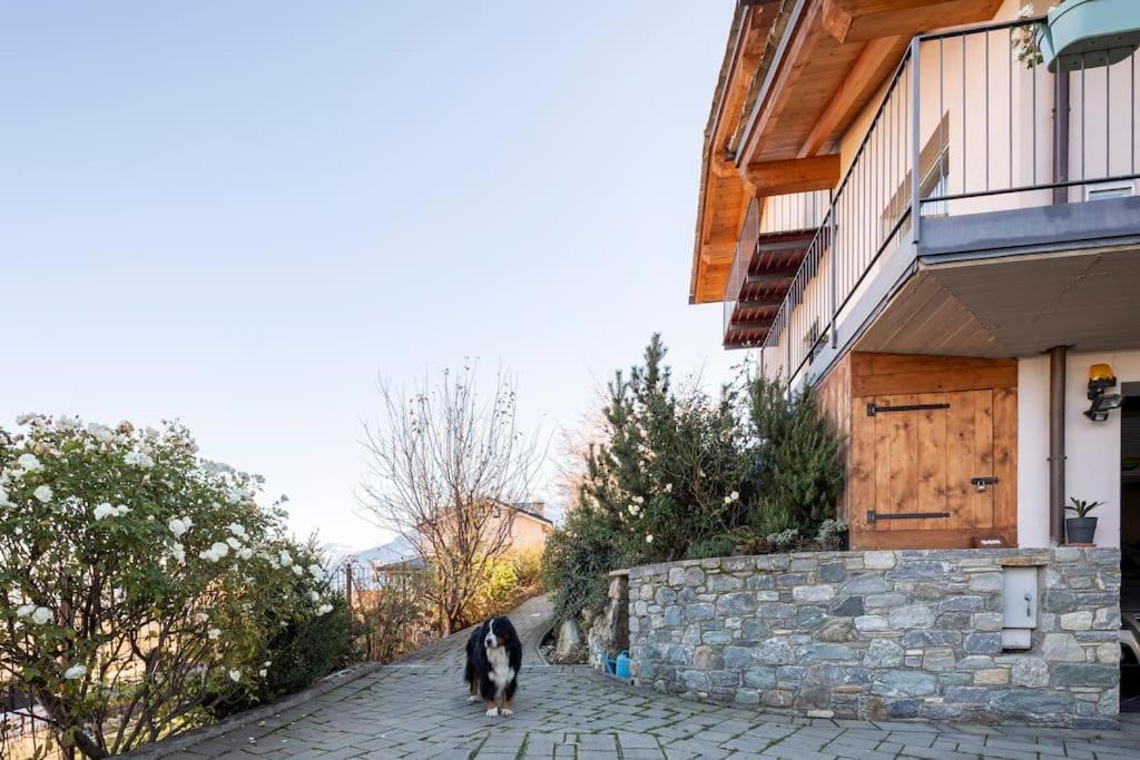 B&B Ambrosia Aosta Exterior foto